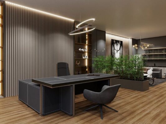 thiết kế phòng giám đốc - 3