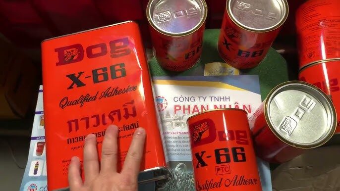 Keo con chó là gì