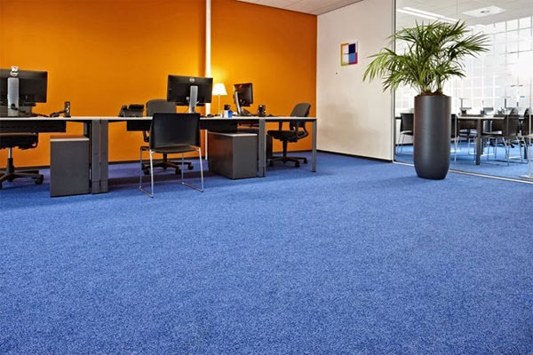 Tại Sao Nên Chọn Thảm Trải Sàn Văn Phòng Giá Rẻ?