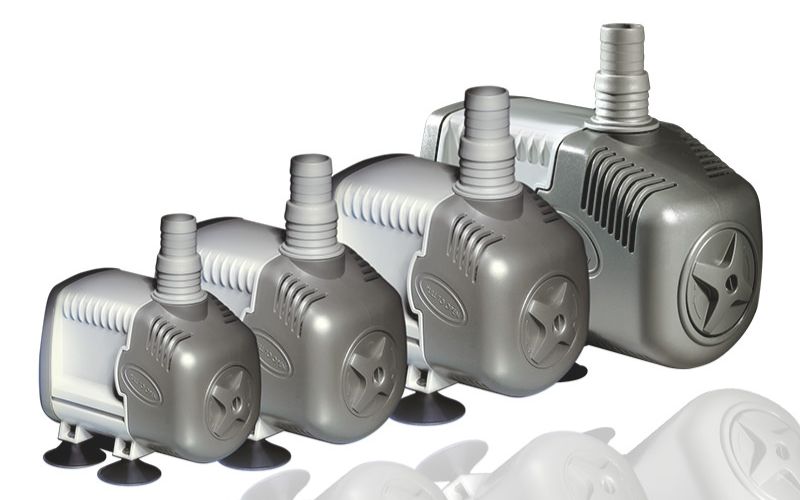 Tại sao bể cá cần máy bơm nước? 5 lý do then chốt