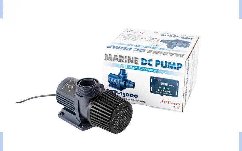 Cách chọn máy bơm chuẩn cho sức khỏe của cá