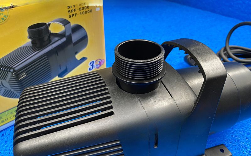 Tại sao bể cá cần máy bơm nước? 5 lý do then chốt
