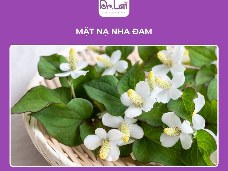 Rau diếp cá hỗ trợ chăm sóc da dầu mụn